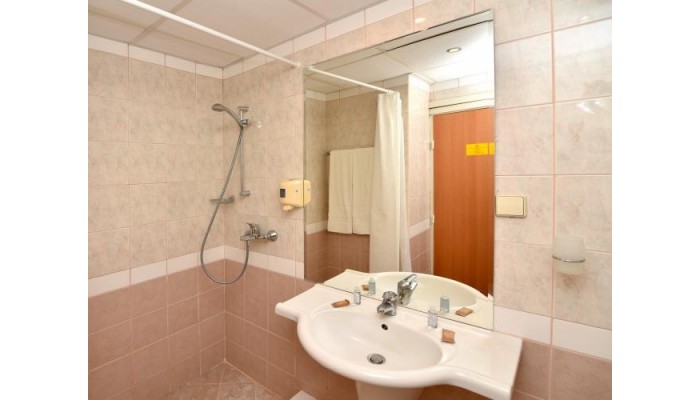 Complex Orchidea poza 3