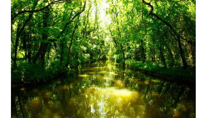 Hotel Gergana poza 2