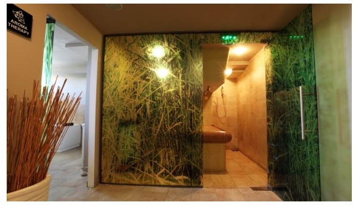 Hotel Regina Maria Spa Design poza 20