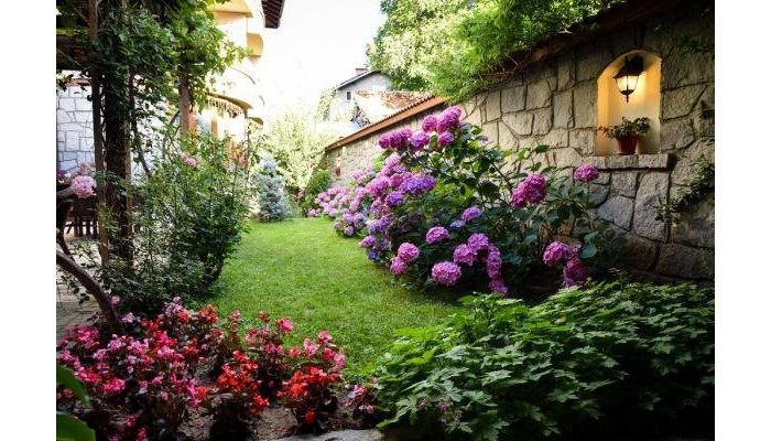 Family Hotel Lina poza 7