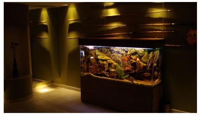 Poza pentru Complex Sunrise Spa & Park 400-1483605083 Complex Sunrise Spa & Park poza 10