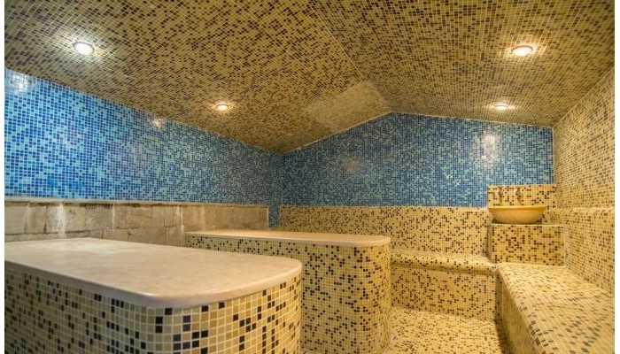 Poza pentru Hotel Elegant Lodge ( Ex Elegant Spa ) 3026-1601971679 Hotel Elegant Lodge (Ex Elegant Spa) poza 3
