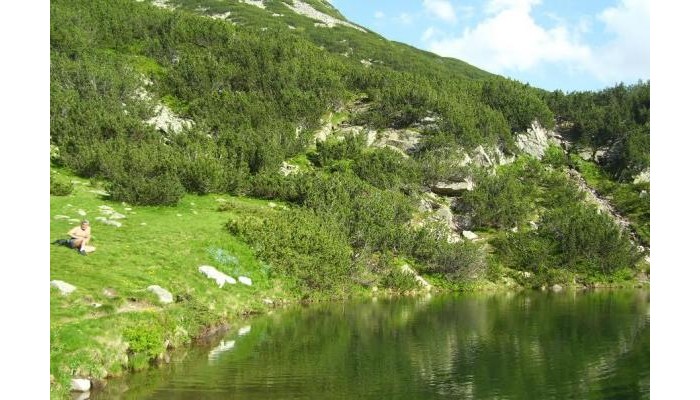 Hotel Four Leaf Clover Bansko poza 5