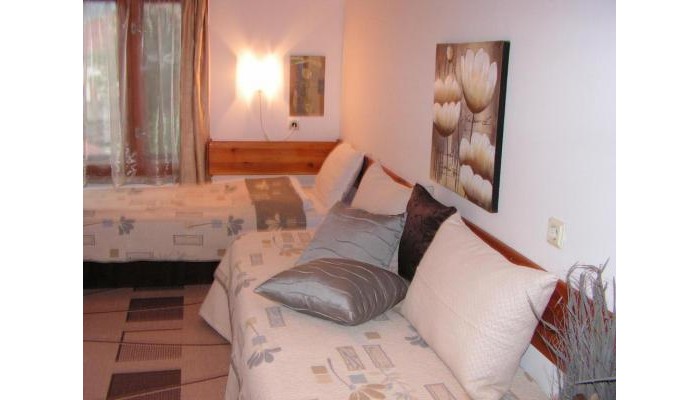 Hotel Guest House Voyno poza 3