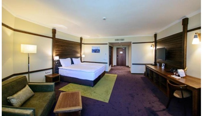 Hotel Hot Springs Medical Spa - Banya poza 7