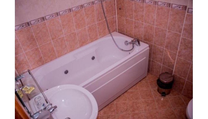 Family Hotel Ivel poza 12