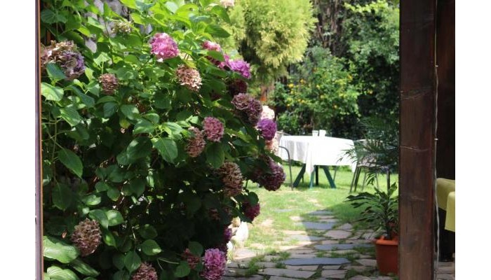 Hotel Kralev Dvor poza 8