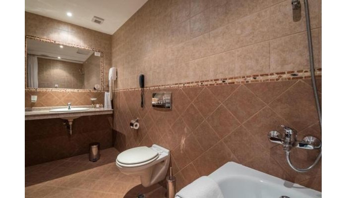 Poza pentru Hotel Lion 8099-1663841552 Hotel Lion poza 6