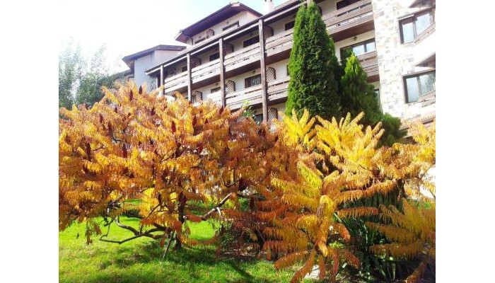 Poza pentru Hotel Orphey 5328-1696853701 Hotel Orphey poza 3