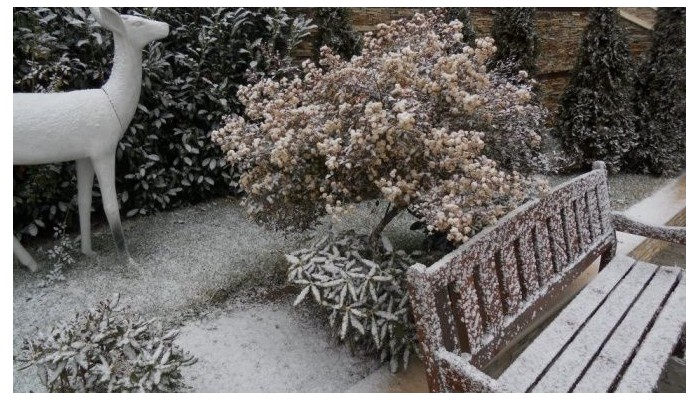 Premier Luxury Mountain Resort poza 8