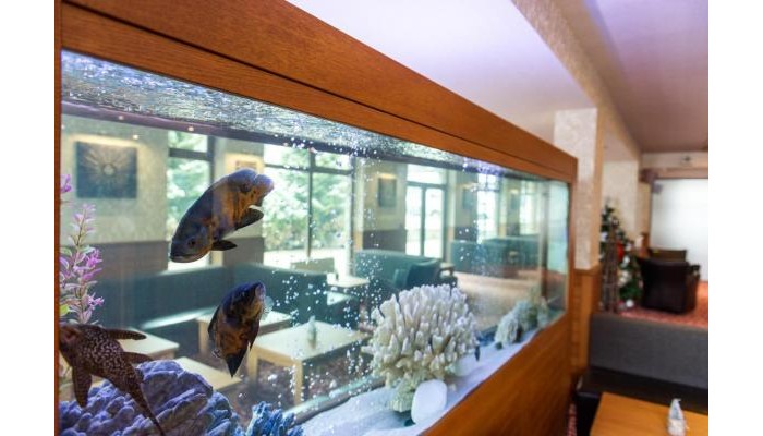 Hotel Vihren Palace & Residence poza 43