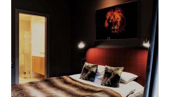 Hotel Borovets Chalets poza 2