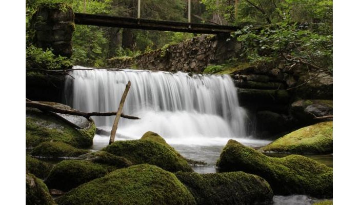 Eliza Apartment Sequoia poza 8