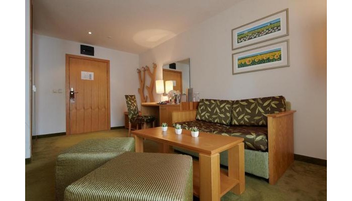 Hotel Festa Chamkoria poza 9