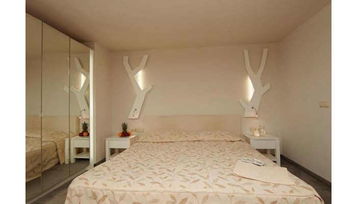 Hotel Festa Chamkoria poza 8