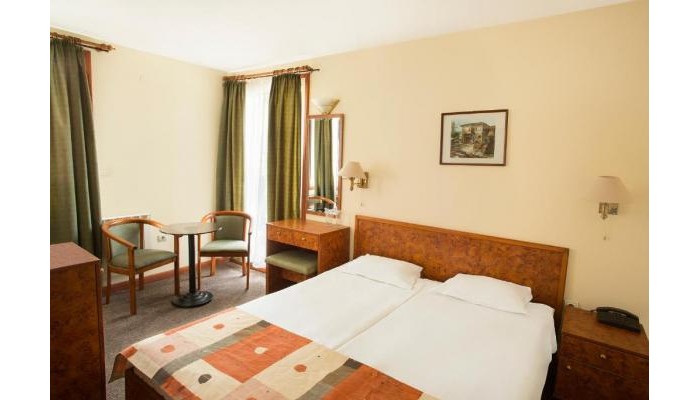 Hotel Victoria poza 8