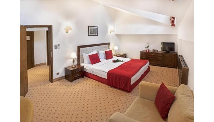 Hotel Yastrebets Wellness & Spa poza 3