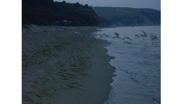 Apartment In Panchev Complex poza 0