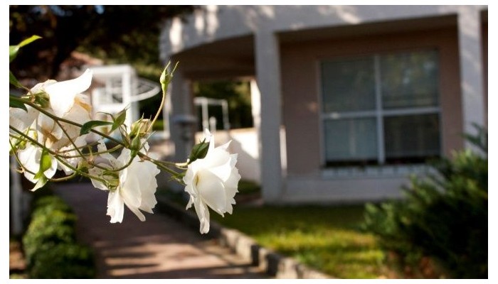 Hotel Bellevue poza 16