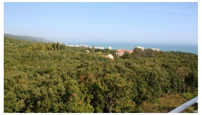 Hotel Bellevue poza 12