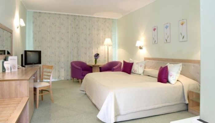 Hotel Orchidea Boutique Spa poza 1
