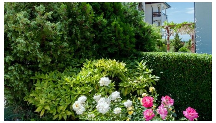 Robinson Apartments poza 6