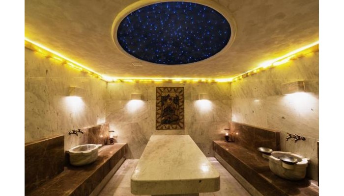 Hotel Therma Palace poza 15