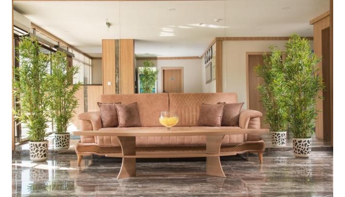 Hotel Oasis Del Sol poza 2