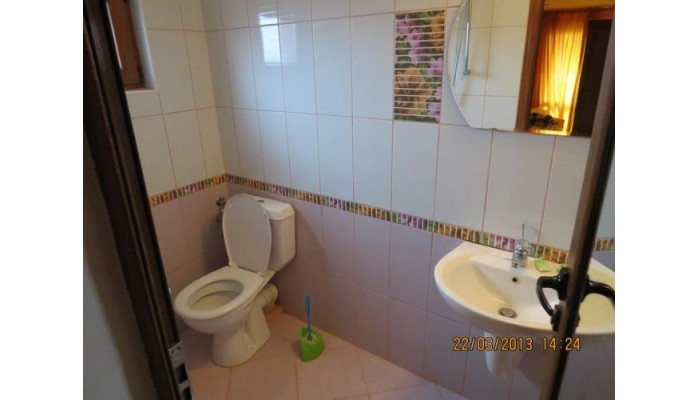 Family Hotel Lebed poza 3