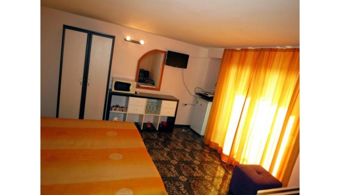 Family Hotel Lebed poza 16