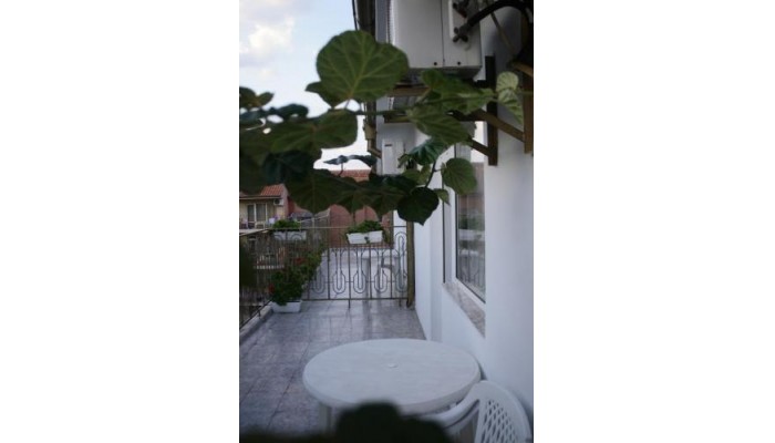 Family Hotel Andreev poza 2