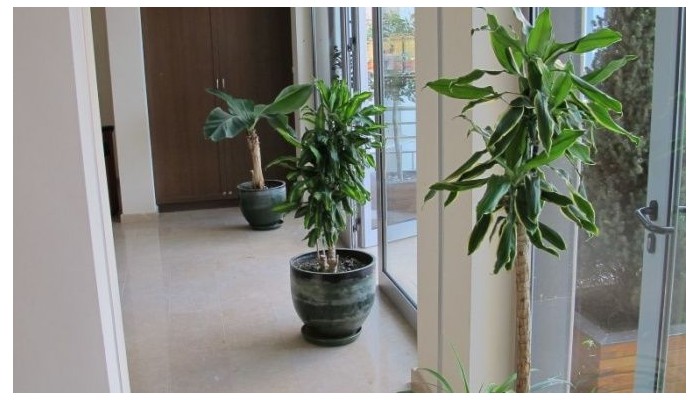 Hotel Kristal Beach poza 32