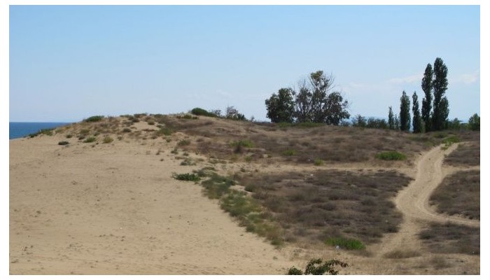 Hotel Kristal Beach poza 31