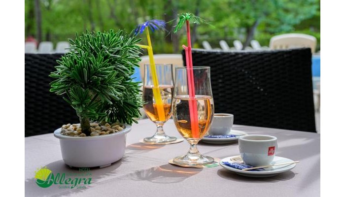 Poza pentru Hotel Allegra Balneo & Spa 3236-1742207473 Hotel Allegra Balneo & Spa poza 33