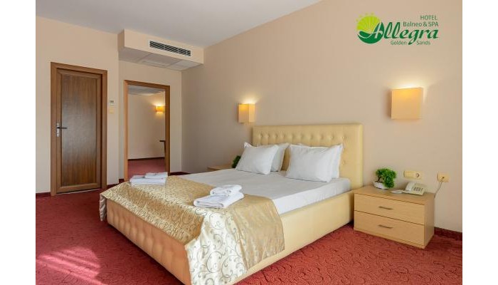 Poza pentru Hotel Allegra Balneo & Spa 4185-1742207407 Hotel Allegra Balneo & Spa poza 11