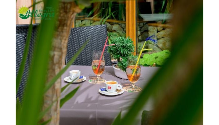 Poza pentru Hotel Allegra Balneo & Spa 6404-1742207476 Hotel Allegra Balneo & Spa poza 34