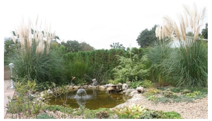 Hotel Joya Park poza 13