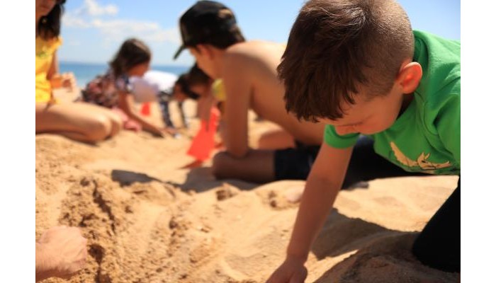 Hotel Palm Beach poza 78