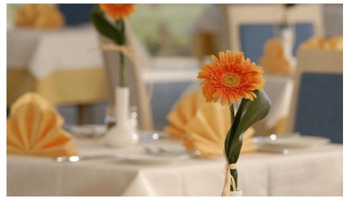 Poza pentru Hotel Sol Luna Bay 831-1483608866 Hotel Sol Luna Bay poza 65