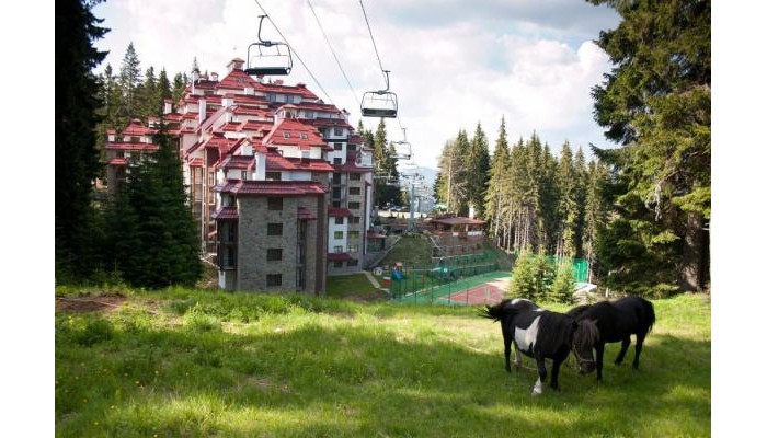 Complex Kamelia poza 1