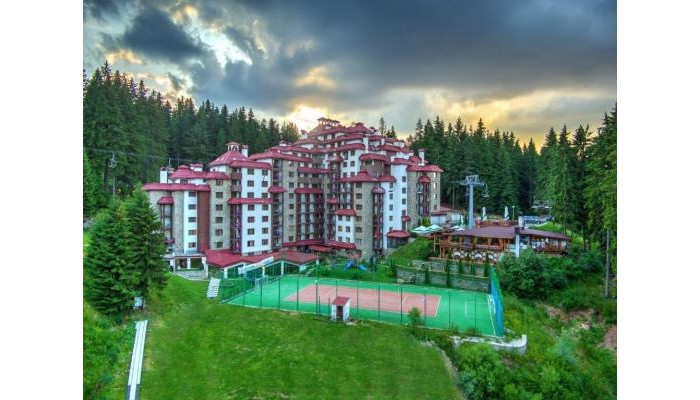 Complex Kamelia poza 0