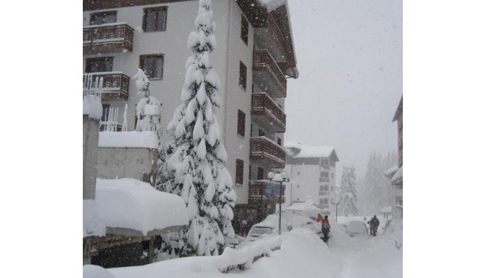 Aparthotel Nevada poza 2