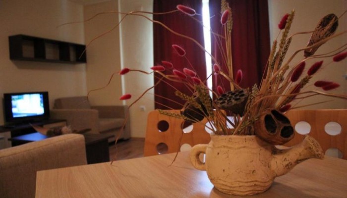 Aparthotel Nevada poza 7