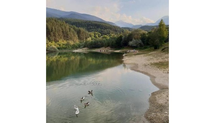 Fortuna Apartments poza 5