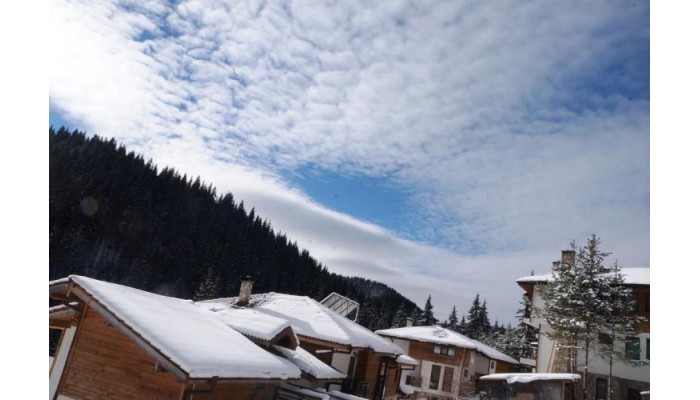 Complex Boriki poza 0