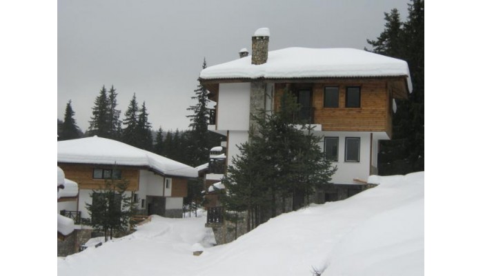 Complex Boriki poza 2