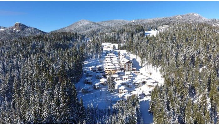 Hotel Forest Glade poza 45