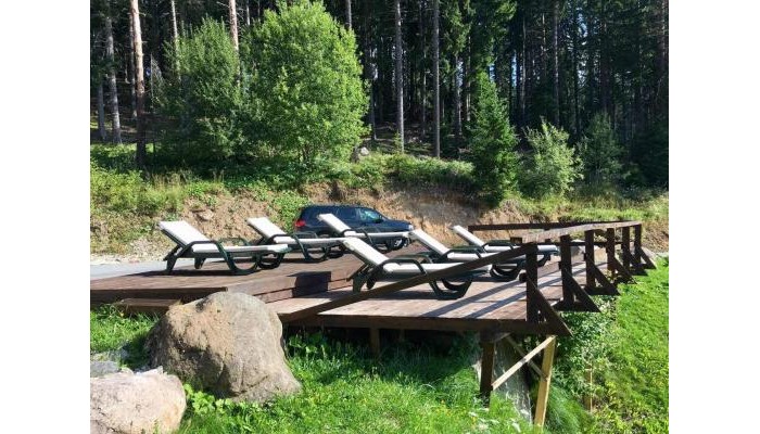 Hotel Forest Glade poza 42