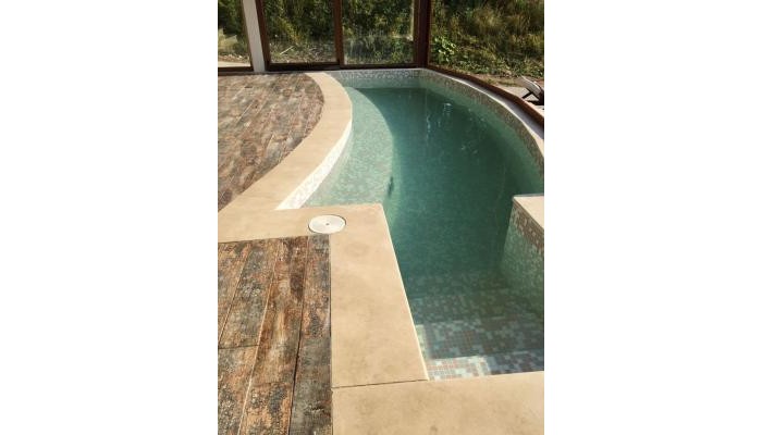 Hotel Forest Glade poza 34