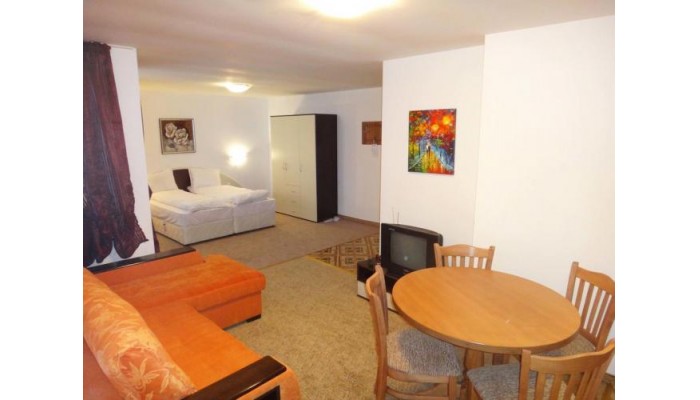 Hotel Mountain Lodge poza 7